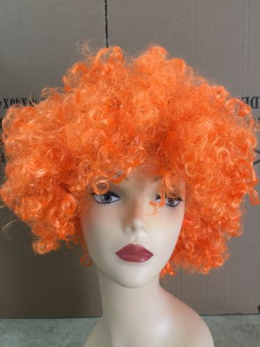 Perruque - Ref 2611063
