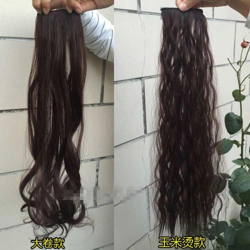 Perruque - Ref 2611183