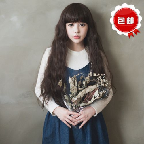 Perruque cheveux longs - Ref 2611418