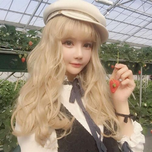 Perruque cheveux longs - Ref 2611511