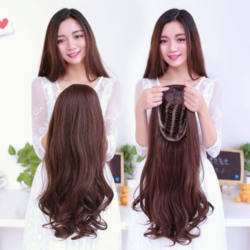 Perruque cheveux longs - Ref 2611512