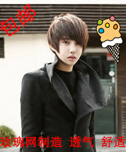 Perruque - Ref 2611527