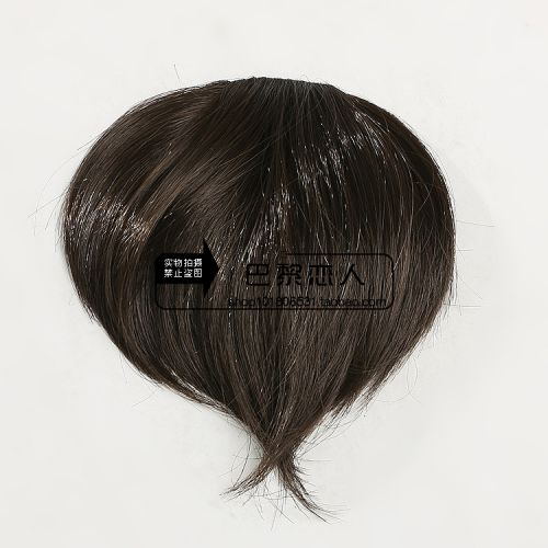 Perruque - Ref 2611729