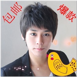 Perruque cheveux courts - Ref 2611773