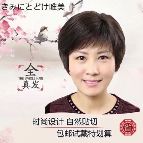 Perruque - Ref 2611783