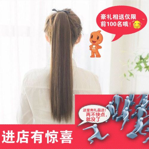 Perruque BEAUTIFUL PRINCESS Long cheveux raides - Ref 2612219