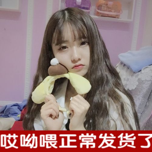 Perruque cheveux longs - Ref 2612749