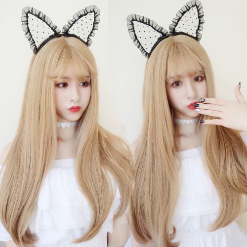 Perruque cheveux longs - Ref 2612995