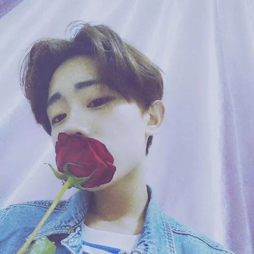 Perruque cheveux raides Court - Ref 2613052