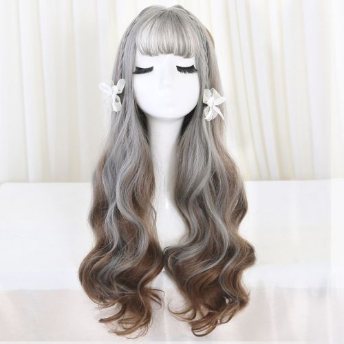 Perruque cheveux longs - Ref 2613114