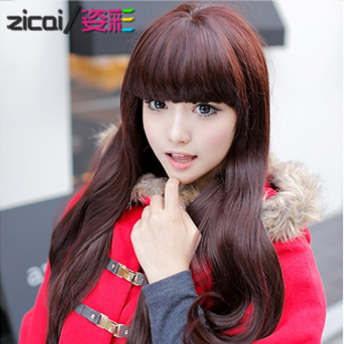 Perruque cheveux longs - Ref 2613127