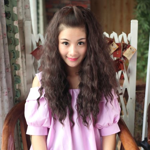 Perruque Harsh pelucheux confirme - Ref 2613374