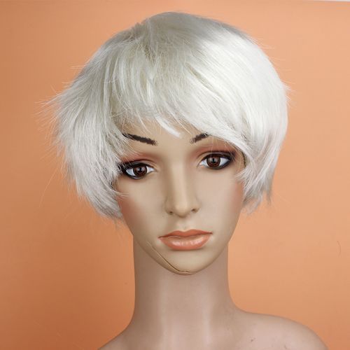 Perruque cheveux longs - Ref 2613609
