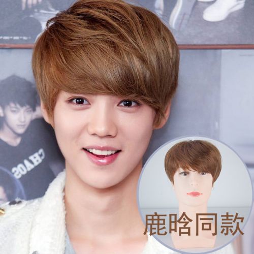 Perruque Harsh pelucheux confirme - Ref 2614047