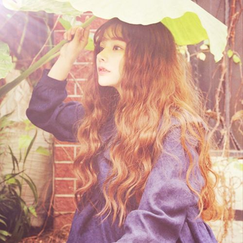 Perruque cheveux longs - Ref 2614054