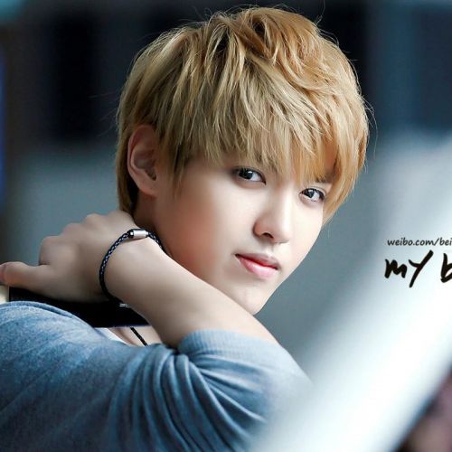 Perruque Harsh pelucheux confirme - Ref 2614092