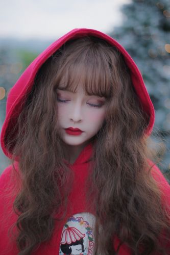 Perruque cheveux longs - Ref 2614150