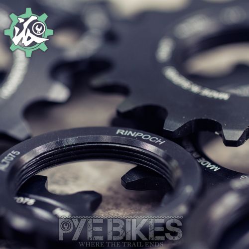 Pignon de vélo RINPOCH - Ref 2361600