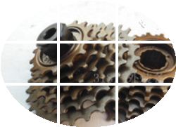 Pignon de vélo CAMPAGNOLO - Ref 2362505