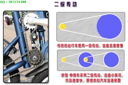Pignon de vélo FITQ - Ref 2362711