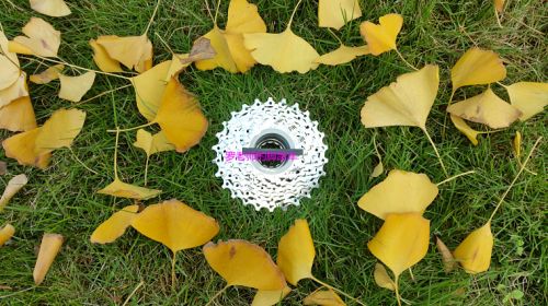 Pignon de vélo SRAM - Ref 2365931