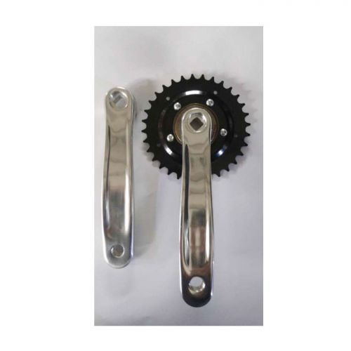 Pignon de vélo - Ref 2366128