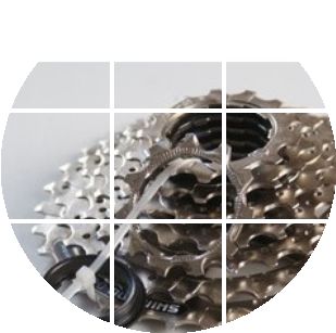 Pignon de vélo - Ref 2369254