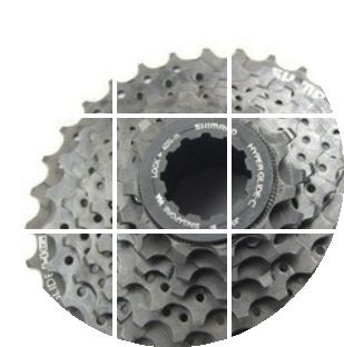 Pignon de vélo 8 vitesses SHIMANO - Ref 2369269