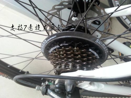 Pignon de vélo - Ref 2369642