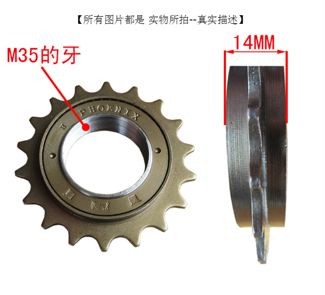 Pignon de vélo PHOENIX - Ref 2373119