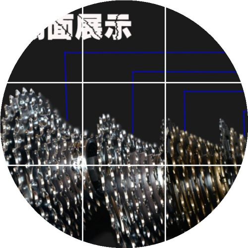 Pignon de vélo - Ref 2373917