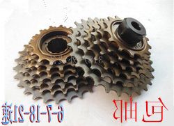 Pignon de vélo CAMPAGNOLO - Ref 2374038