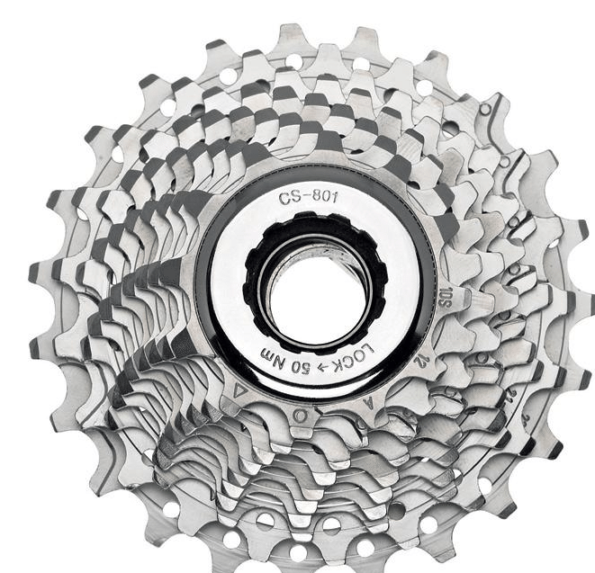 Pignon de vélo CAMPAGNOLO - Ref 2374868