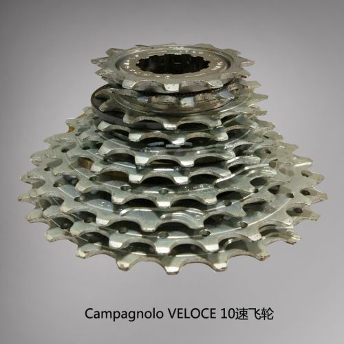 Pignon de vélo CAMPAGNOLO - Ref 2375041