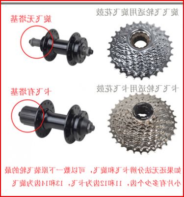 Pignon de vélo - Ref 2376921