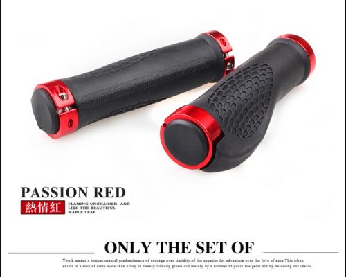 Poignées de vélo GIANT - Ref 2343950