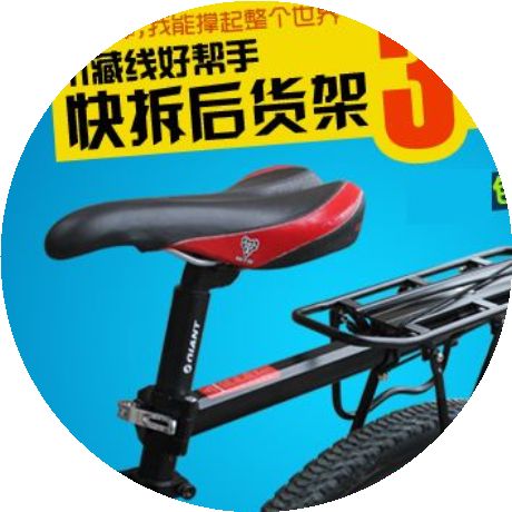 Porte-bagages pour vélo - Ref 2410146