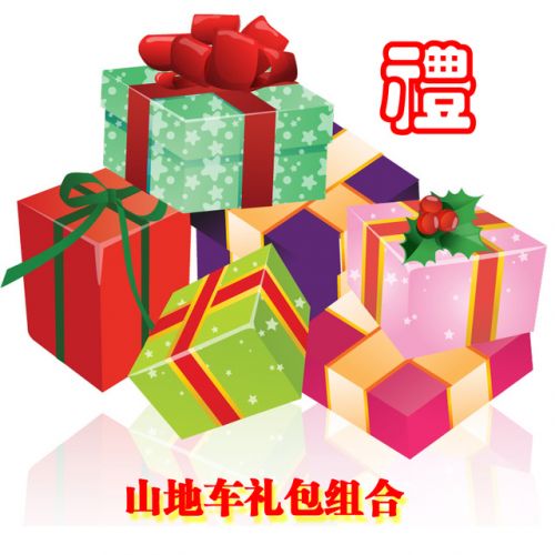 Porte-bagages pour vélo - Ref 2410784