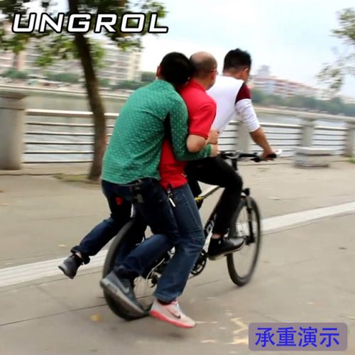 Porte-bagages pour vélo UNGROL - Ref 2413009