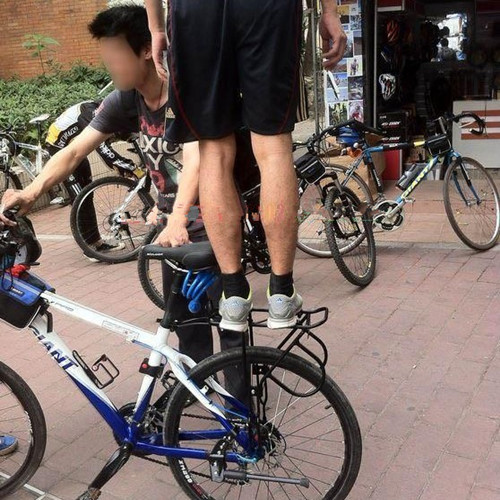 Porte-bagages pour vélo - Ref 2414922