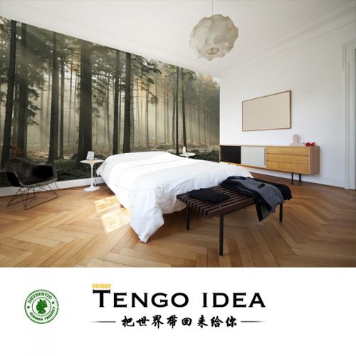Poster mural géant TENGO IDEA continental - Ref 2458013