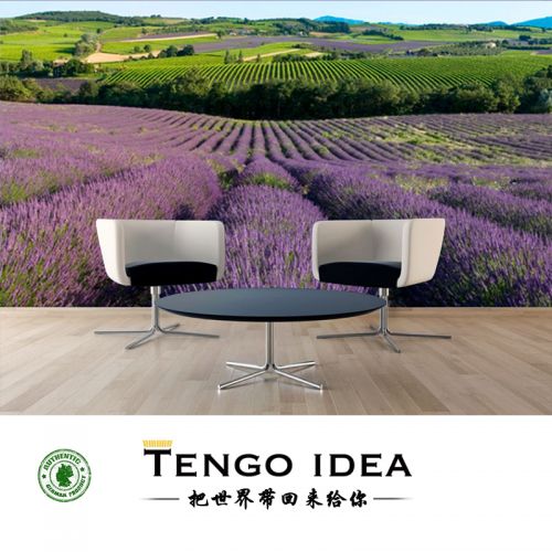 Poster mural géant TENGO IDEA continental - Ref 2458016