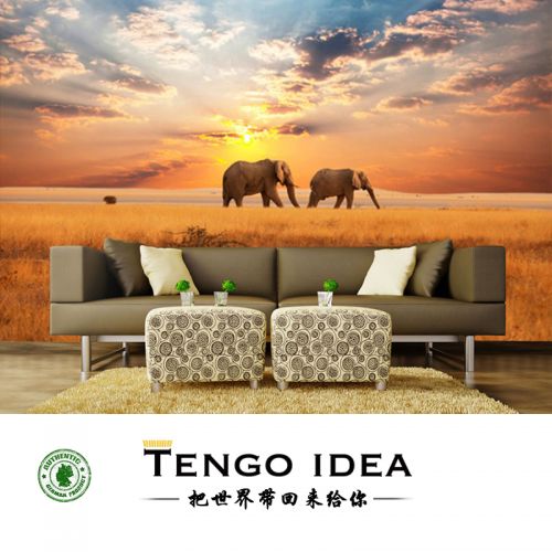 Poster mural géant TENGO IDEA continental - Ref 2458024