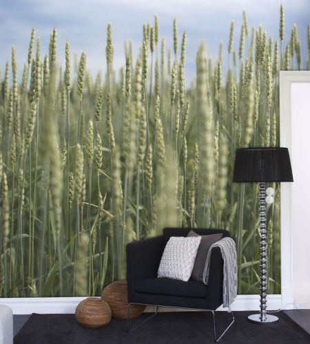 Poster mural géant WALLVISION simple moderne - Ref 2458749