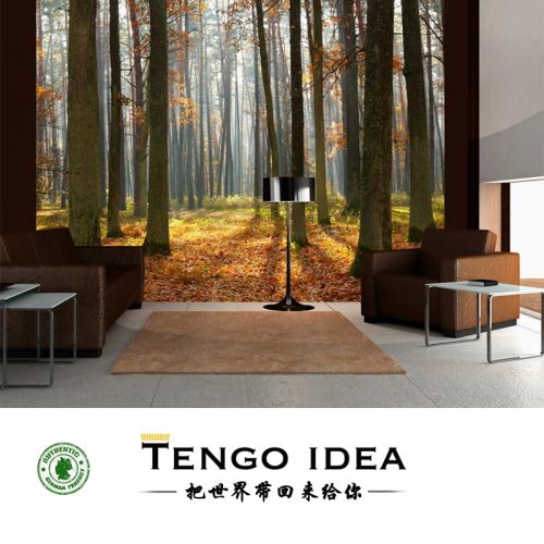 Poster mural géant TENGO IDEA campagne - Ref 2458789