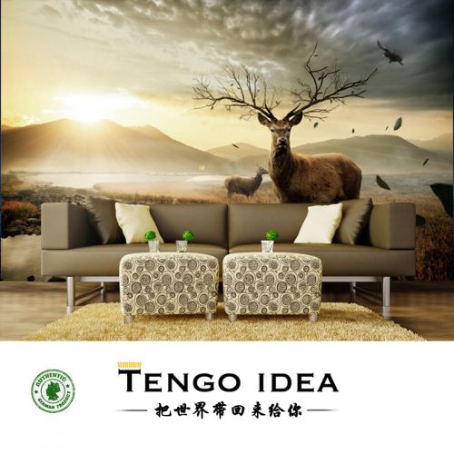 Poster mural géant TENGO IDEA continental - Ref 2458795
