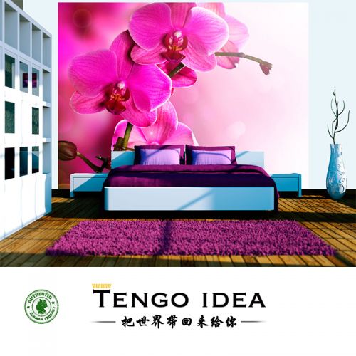 Poster mural géant TENGO IDEA campagne - Ref 2458797