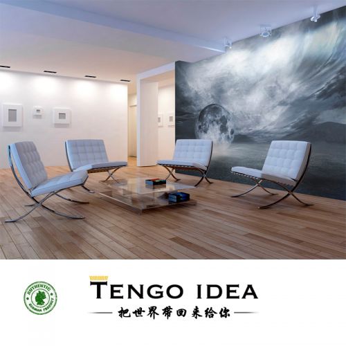 Poster mural géant TENGO IDEA continental - Ref 2459038