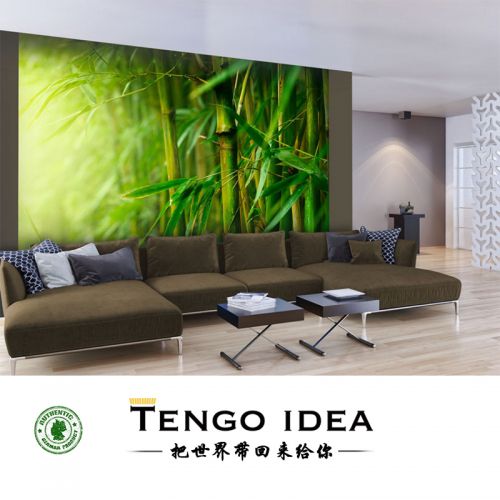 Poster mural géant TENGO IDEA continental - Ref 2459057
