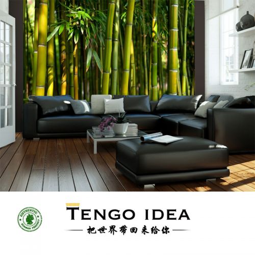 Poster mural géant TENGO IDEA continental - Ref 2459061